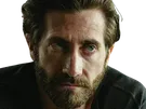 jake gyllenhaal acteur barbe homme brun trentaine trentenaire yeux bleus