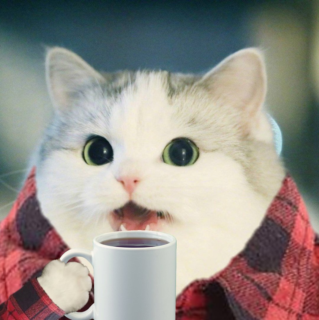 Sticker chat chaton tasse chemise cat yeux cafe minou boisson chaude boire boit felin the tisane par ProlapsusDeBHL