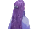 fern frieren cheveux indigo yeux violet broche frange lieden fic bloop