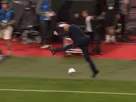 zinedine zidane ldn ligue des nations france belgique celebration but