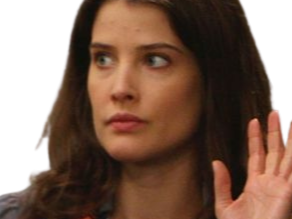 Sticker robin scherbatsky how i met cobie smulders brune yeux bleu thalie fic bloop par Bl0op