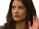 robin scherbatsky how i met cobie smulders brune yeux bleu thalie fic bloop