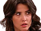 robin scherbatsky how i met cobie smulders brune yeux bleu thalie fic bloop