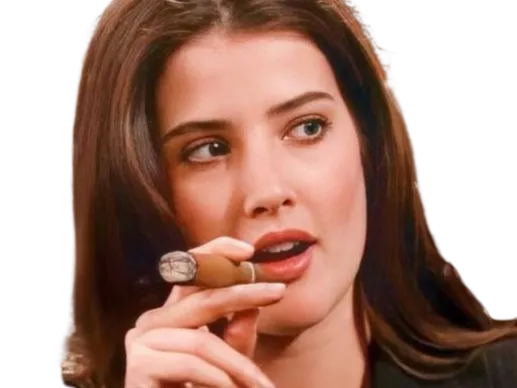 Sticker robin scherbatsky how i met cobie smulders brune yeux bleu thalie fic bloop par Bl0op