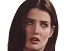 robin scherbatsky how i met cobie smulders brune yeux bleu thalie fic bloop