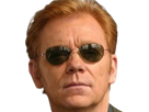 horatio caine lieutenant police directeur laboratoire criminel experts miami csi homme roux yeux bleus serie