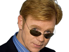 horatio caine lieutenant police directeur laboratoire criminel experts miami csi homme roux yeux bleus serie
