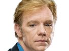 horatio caine lieutenant police directeur laboratoire criminel experts miami csi homme roux yeux bleus serie