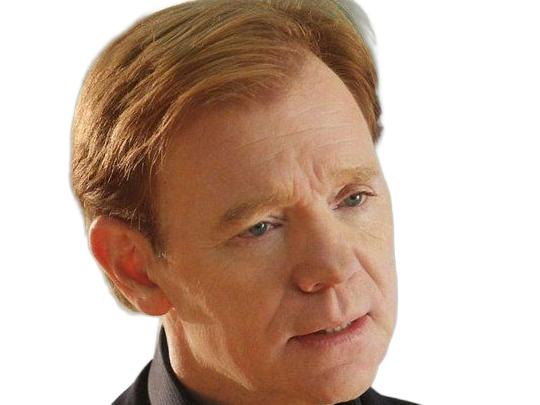 Sticker horatio caine lieutenant police directeur laboratoire criminel experts miami csi homme roux yeux bleus serie par Dark-63