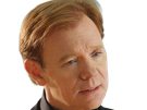 horatio caine lieutenant police directeur laboratoire criminel experts miami csi homme roux yeux bleus serie