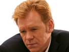 horatio caine lieutenant police directeur laboratoire criminel experts miami csi homme roux yeux bleus serie