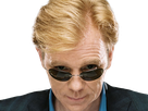 horatio caine lieutenant police directeur laboratoire criminel experts miami csi homme roux yeux bleus serie