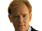 horatio caine lieutenant police directeur laboratoire criminel experts miami csi homme roux yeux bleus serie
