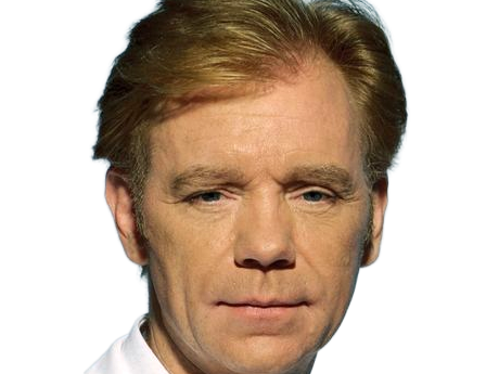 Sticker horatio caine lieutenant police directeur laboratoire criminel experts miami csi homme roux yeux bleus serie par Dark-63