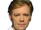 horatio caine lieutenant police directeur laboratoire criminel experts miami csi homme roux yeux bleus serie