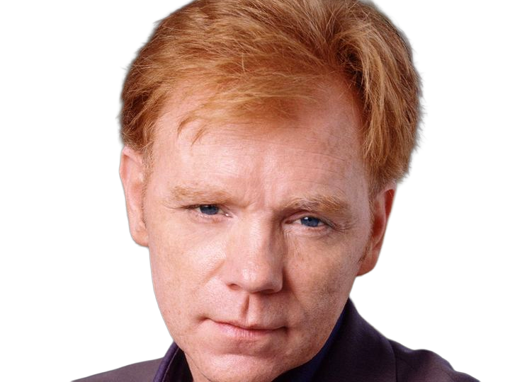 Sticker horatio caine lieutenant police directeur laboratoire criminel experts miami csi homme roux yeux bleus serie par Dark-63