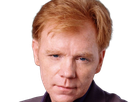 horatio caine lieutenant police directeur laboratoire criminel experts miami csi homme roux yeux bleus serie