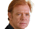 horatio caine lieutenant police directeur laboratoire criminel experts miami csi homme roux yeux bleus serie