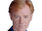 horatio caine lieutenant police directeur laboratoire criminel experts miami csi homme roux yeux bleus serie