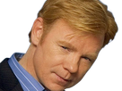 horatio caine lieutenant police directeur laboratoire criminel experts miami csi homme roux yeux bleus serie