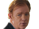 horatio caine lieutenant police directeur laboratoire criminel experts miami csi homme roux yeux bleus serie
