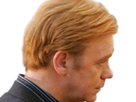 horatio caine lieutenant police directeur laboratoire criminel experts miami csi homme roux yeux bleus serie