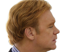 horatio caine lieutenant police directeur laboratoire criminel experts miami csi homme roux yeux bleus serie