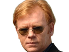 horatio caine lieutenant police directeur laboratoire criminel experts miami csi homme roux yeux bleus serie