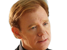 horatio caine lieutenant police directeur laboratoire criminel experts miami csi homme roux yeux bleus serie