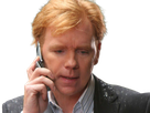 horatio caine lieutenant police directeur laboratoire criminel experts miami csi homme roux yeux bleus serie