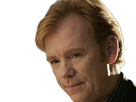 horatio caine lieutenant police directeur laboratoire criminel experts miami csi homme roux yeux bleus serie