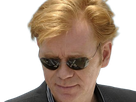 horatio caine lieutenant police directeur laboratoire criminel experts miami csi homme roux yeux bleus serie