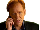 horatio caine lieutenant police directeur laboratoire criminel experts miami csi homme roux yeux bleus serie