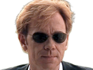horatio caine lieutenant police directeur laboratoire criminel experts miami csi homme roux yeux bleus serie