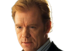 horatio caine lieutenant police directeur laboratoire criminel experts miami csi homme roux yeux bleus serie