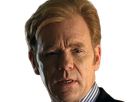 horatio caine lieutenant police directeur laboratoire criminel experts miami csi homme roux yeux bleus serie