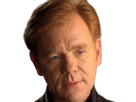 horatio caine lieutenant police directeur laboratoire criminel experts miami csi homme roux yeux bleus serie