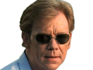 horatio caine lieutenant police directeur laboratoire criminel experts miami csi homme roux yeux bleus serie