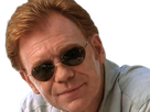 horatio caine lieutenant police directeur laboratoire criminel experts miami csi homme roux yeux bleus serie