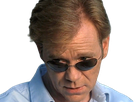 horatio caine lieutenant police directeur laboratoire criminel experts miami csi homme roux yeux bleus serie