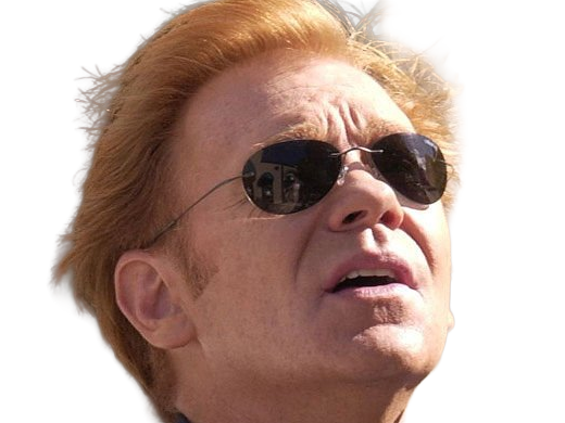 Sticker horatio caine lieutenant police directeur laboratoire criminel experts miami csi homme roux yeux bleus serie par Dark-63