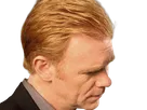 horatio caine lieutenant police directeur laboratoire criminel experts miami csi homme roux yeux bleus serie