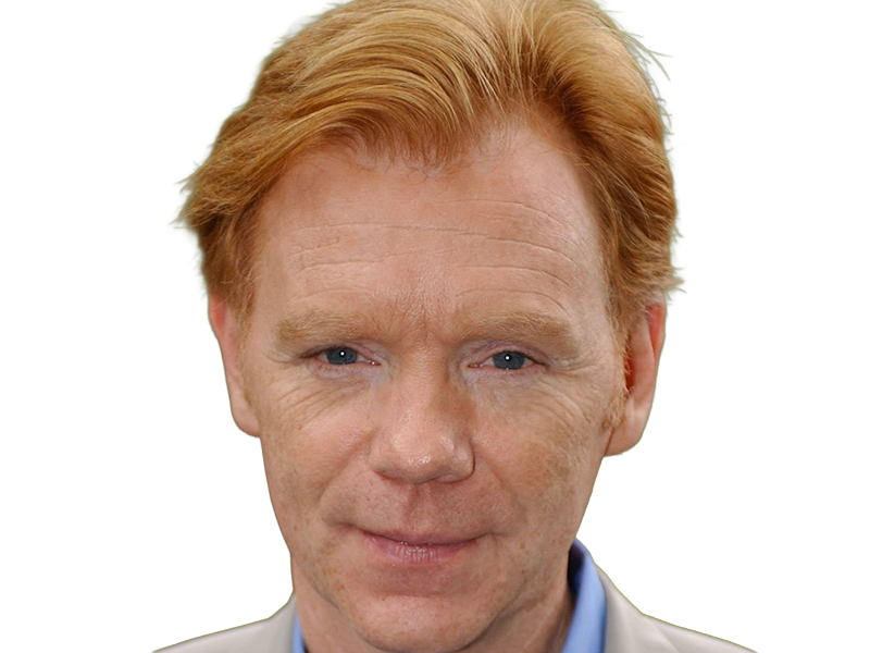 Sticker horatio caine lieutenant police directeur laboratoire criminel experts miami csi homme roux yeux bleus serie par Dark-63