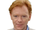horatio caine lieutenant police directeur laboratoire criminel experts miami csi homme roux yeux bleus serie