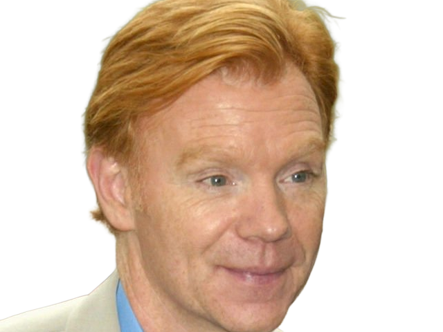 Sticker horatio caine lieutenant police directeur laboratoire criminel experts miami csi homme roux yeux bleus serie par Dark-63