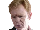 horatio caine lieutenant police directeur laboratoire criminel experts miami csi homme roux yeux bleus serie