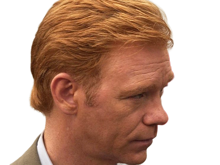 Sticker horatio caine lieutenant police directeur laboratoire criminel experts miami csi homme roux yeux bleus serie par Dark-63