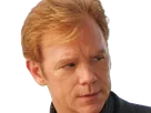 horatio caine lieutenant police directeur laboratoire criminel experts miami csi homme roux yeux bleus serie