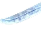 sode no shirayuki bleach katana blanc neige glace yuki onna yuki onna fic bloop