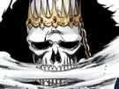 baraggan louisenbairn bleach squelette couronne or manteau noir fic bloop